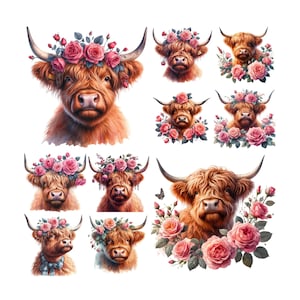 10 imágenes PNG Highland Cow Roses Clipart Fondo transparente, Highland Cow Png, Highland Cow Clipart, Hyland Cow Png, Roses,Png
