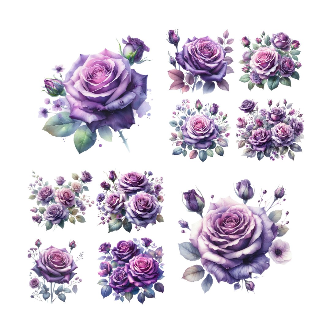 10 Purple Flower Clipart Bundle Floral Roses PNG Watercolor,roses Png ...