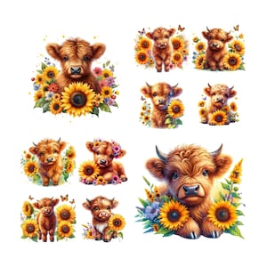 10 imágenes PNG Highland Cow Sunflowers Clipart Fondo transparente, Highland Cow Png, Highland Cow Clipart, Hyland Cow Png, Girasoles, Png