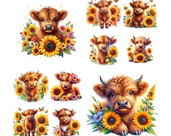 10 PNG Images Highland Cow Sunflowers Clipart Transparent Background, Highland Cow Png, Highland Cow Clipart, Hyland Cow Png, Sunflowers,Png