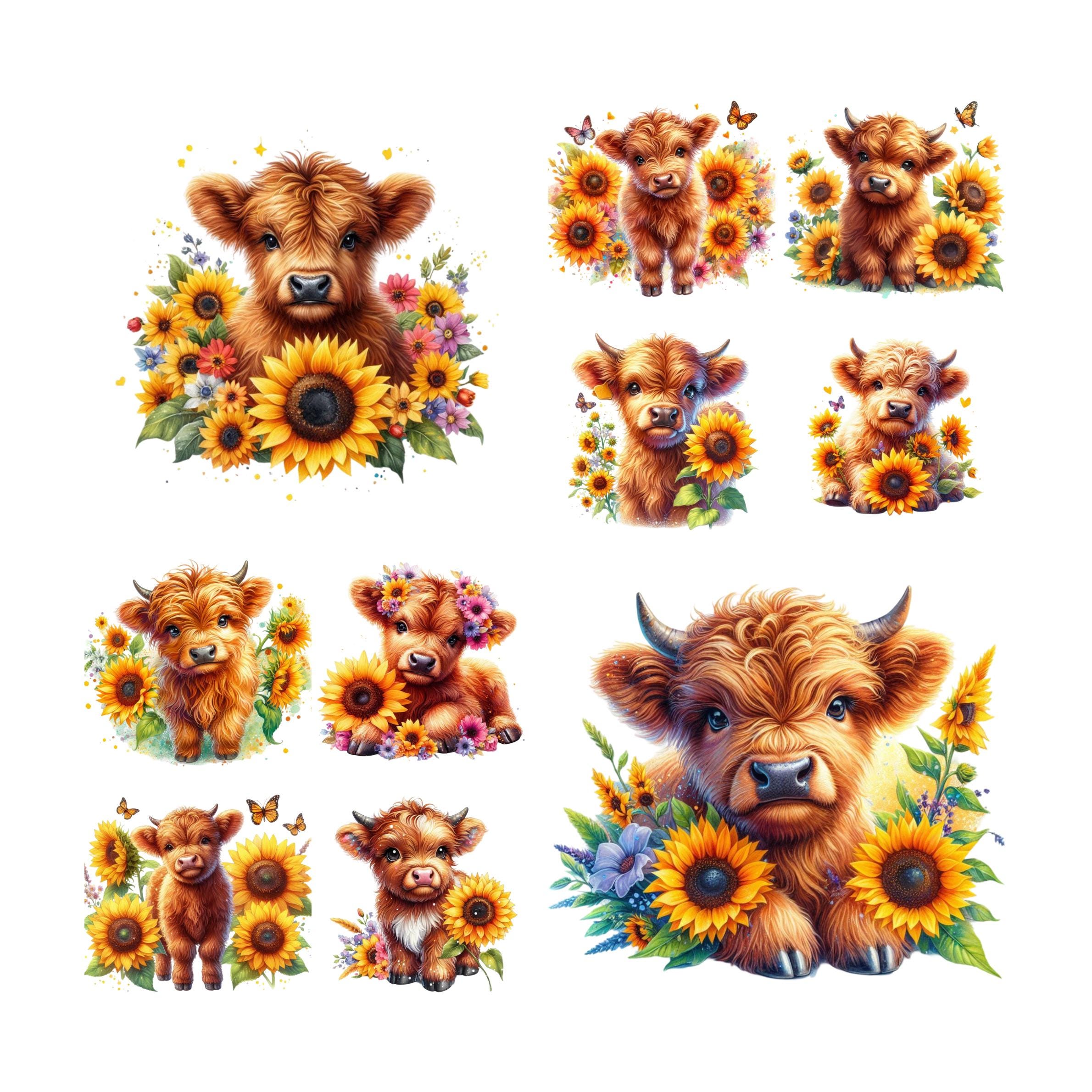 10 PNG Images Highland Cow Sunflowers Clipart Transparent Background ...