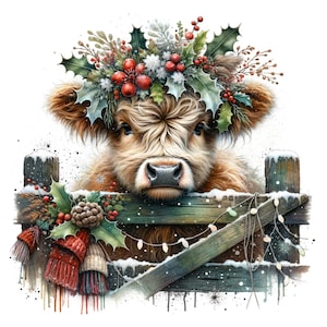 May include: A whimsical illustration of a Highland cow wearing a festive holly wreath with red berries. The cow peeks over a wooden fence decorated with winter foliage, snow, and string lights. Red and white knitted hats hang on the fence.