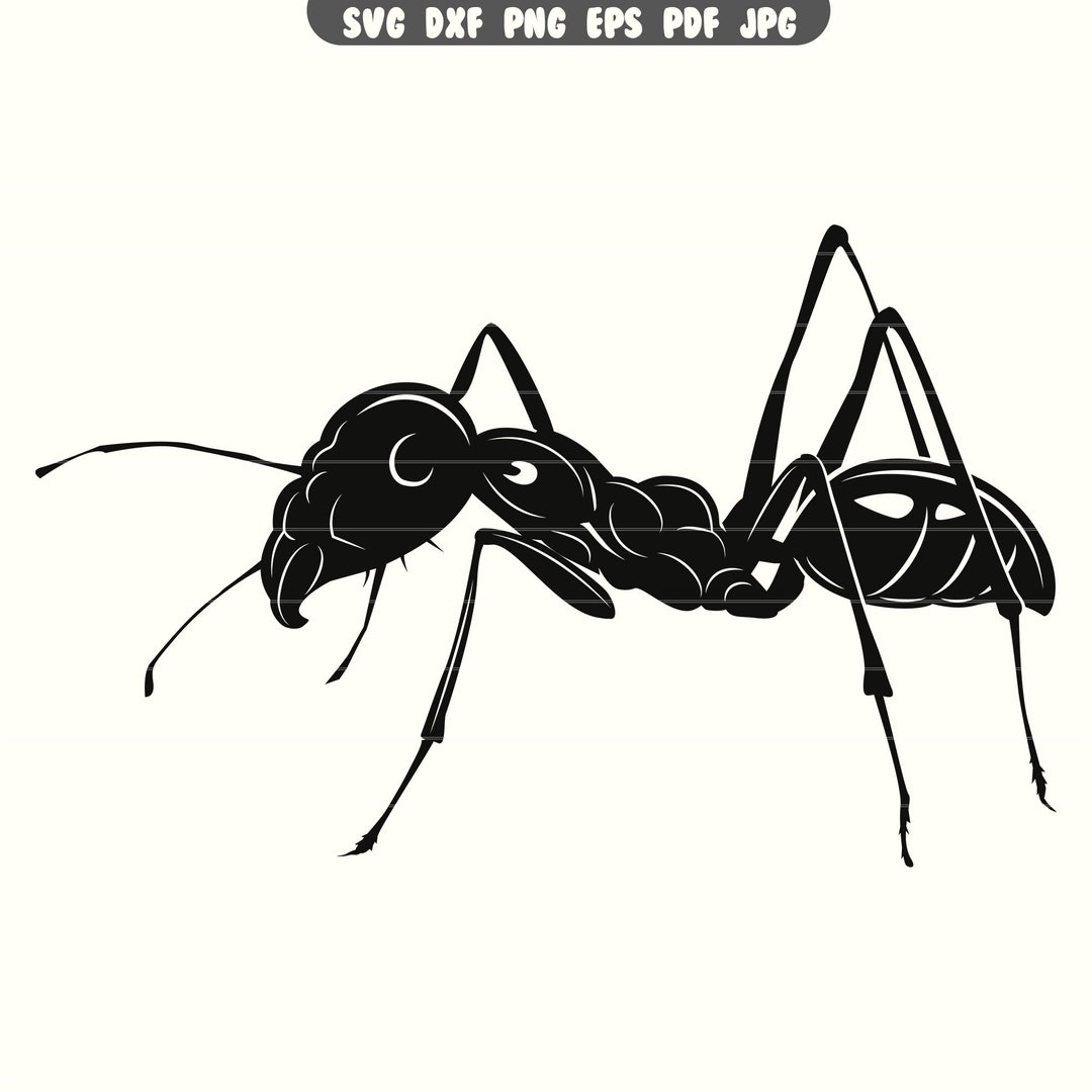 Ant SVG, Ant DXF, Ant PNG, Ant Clipart, Ant Cut File / Descarga ...