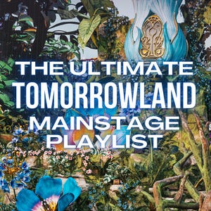The Ultimate Tomorrowland Mainstage Playlist I | (WAV/320kbps MP3) / dj music, dj tracks, dj mp3, dj gift, dj present, music usb, festival