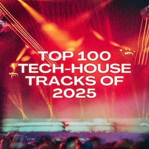 100 Top Tech House Tracks of 2025 | (WAV/320kbps MP3) / dj music, dj tracks, dj mp3, dj gift, dj present, music usb