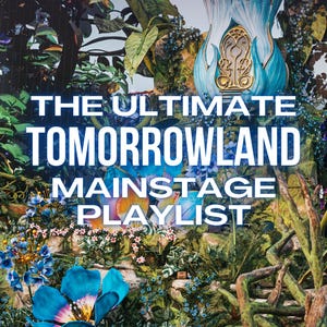 The Ultimate Tomorrowland Mainstage Playlist I | (WAV/320kbps MP3) / dj music, dj tracks, dj mp3, dj gift, dj present, music usb, festival