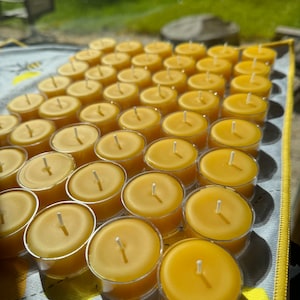 Beeswax Tealights 6|12|24|48|96 BULK| each 4-hr burn|100% Pure Beeswax Candles| Natural| Clean Burn |Cotton Wick| Non-Toxic|Hypoallergenic