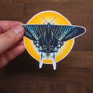 Mottensticker Gele Urania-vlinder