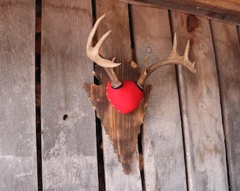Arrowhead Shaped Deer Antler Mounting Plaque