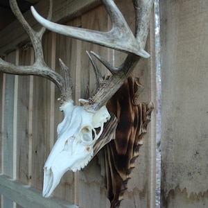 Rustic Burnt Pine Arrowhead European Mounting Plaque: Handcrafted Trophy Display