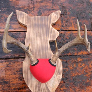 Deer-Shaped Antler Mounting Plaque