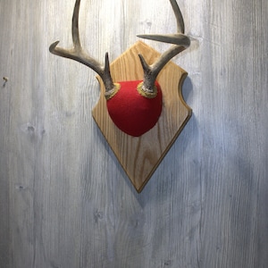 Diamond-Shaped Oak Deer Antler Mounting Plaque
