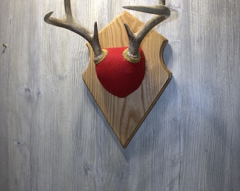 Diamond-Shaped Oak Deer Antler Mounting Plaque