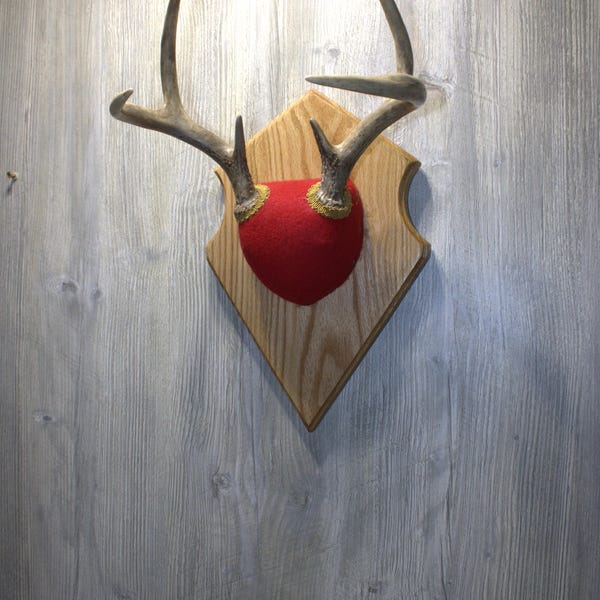 Solid Medium Oak Antler Mount Plaque - Taxidermy Display Board For Deer Antlers 10 thumbnail image