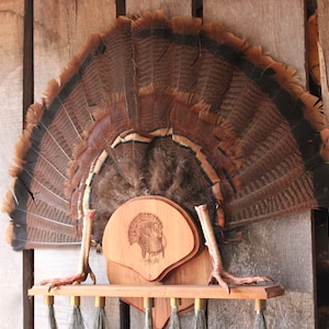 Lazer engraved turkey fan mounting plaque with beard board