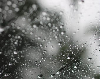 Gloomy Day Droplets
