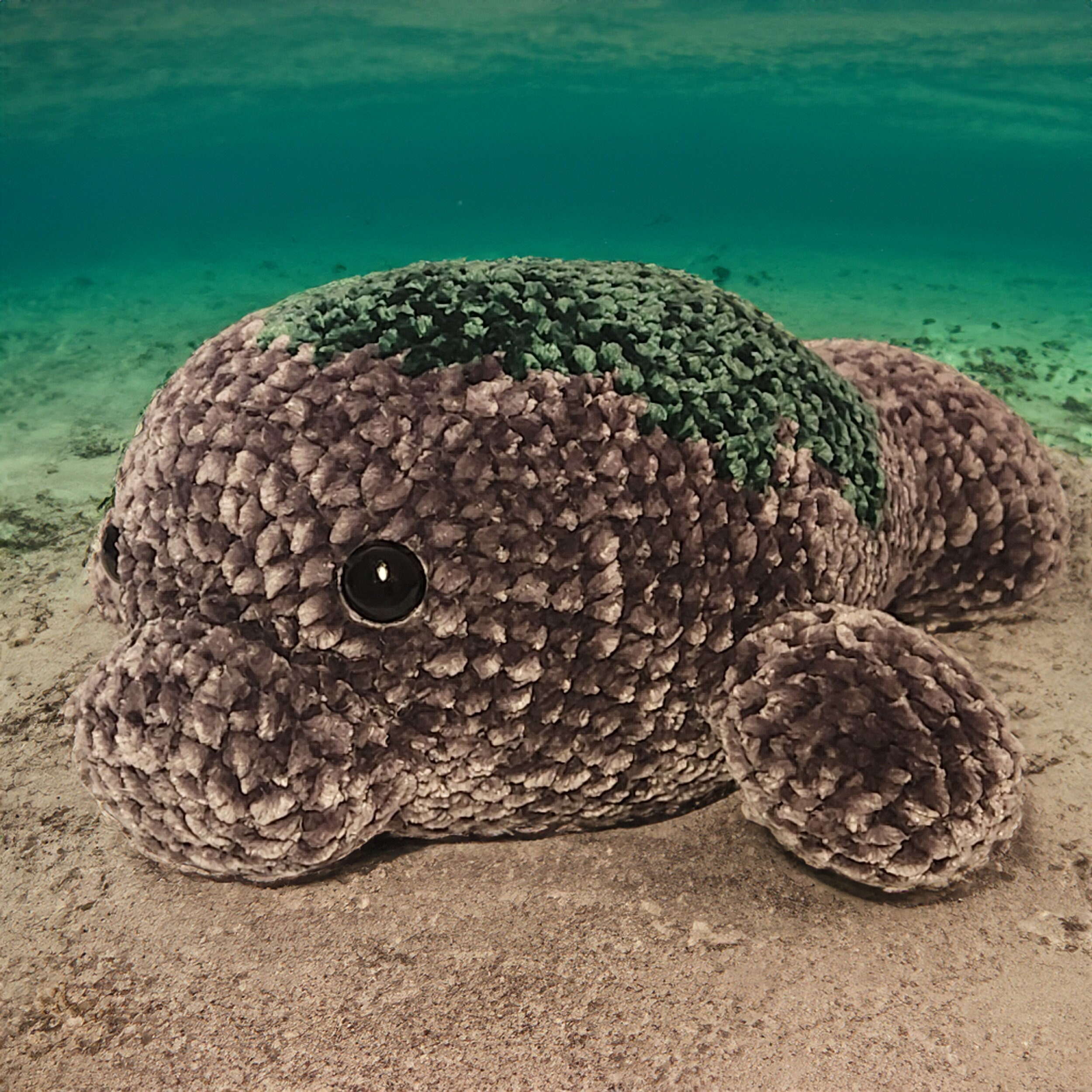 30 Manatee Crochet Patterns: Adorable Sea Cow Designs for Every Skill Level 3 Maggie the Manatee Crochet Pattern Amigurumi