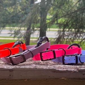 K&ouml;nnte beinhalten: Vier wasserfeste Halsb&auml;nder in Neonorange, ged&auml;mpftem Lila, Pink und hellem Kornblumenblau. Jedes Halsband verf&uuml;gt &uuml;ber eine schwarze Metallschnalle, einen passenden schwarzen Metall-D-Ring und eine schwarze Metallschlaufe zur Befestigung.