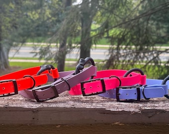 3/4 ”Biothane E-Collar Strap Mit elastischem Gummiband - wasserdicht, leicht zu reinigen, individuell, bunt