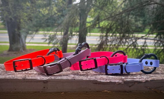 3/4” Biothane E-Collar Strap With Elastic Bungee  - Waterproof, Easy to clean, Custom, Colorful