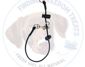 4mm Paracord Slip Dog Collar