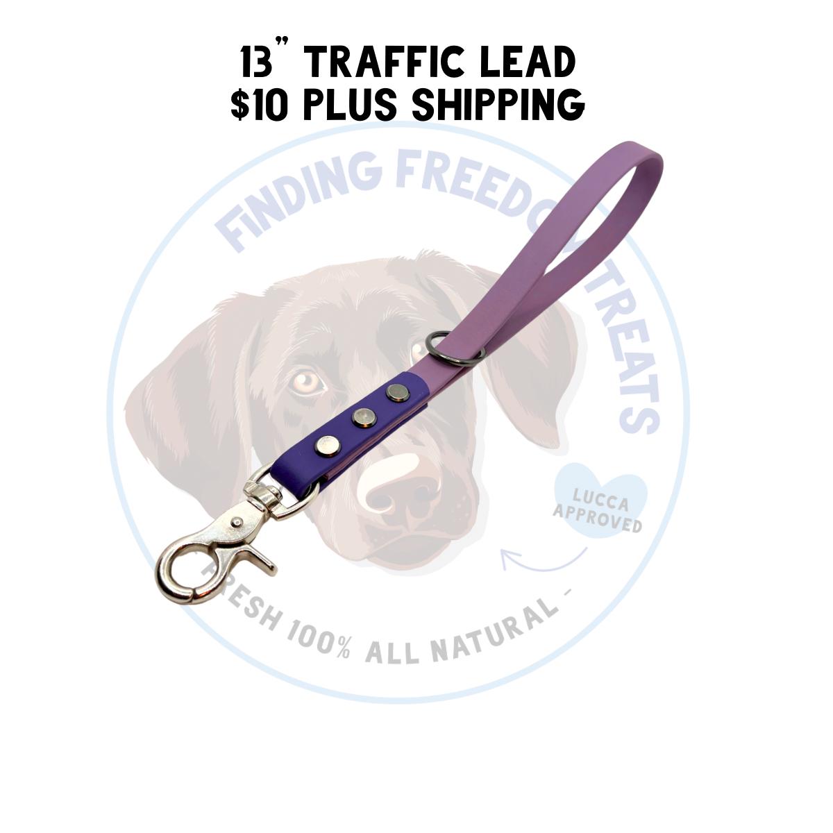 READY TO SHIP  Traffic Lead 13” in 5/8”  Biothane
