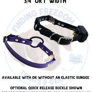 3/4” Biothane E-Collar Strap With Elastic Bungee  - Waterproof, Easy to clean, Custom, Colorful