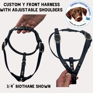 Custom Y Front Harness in 3/4&quot; Wide Biothane