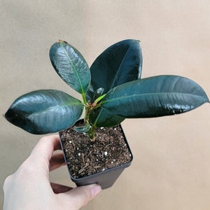 May include: A handmade wooden sign with the text "Welcome" in a playful font. The sign is painted white with a distressed finish, and features a decorative floral design in shades of pink and green. It measures approximately 12 inches wide.