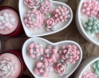 Handmade Cactus Candle in a Heart Shape Bowl or Ceramic Plate, Perfect Gift, Succulent Lover Gift, Decorative Candle, Pleasant Scent