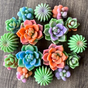 May include: A collection of colorful, artificial succulent plants in various shades of green, blue, orange, and purple. The succulents are arranged on a wooden surface, showcasing their detailed petal structures and vibrant hues. These decorative pieces add a touch of nature.