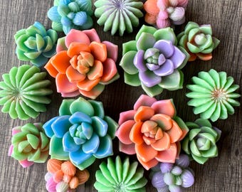 Handmade Succulent Soap Gift Box, Birthday Gift, Realistic Terrarium Soap, Cactus Spa Gift Set, Christmas Gift, Thanksgiving Present
