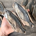 Fathers day gift. Soap for men. Handcrafted Soap - Dried Fish. Gift For Fishermen. Best Fish Present. Funny gift. Perfect gift. Men gift.