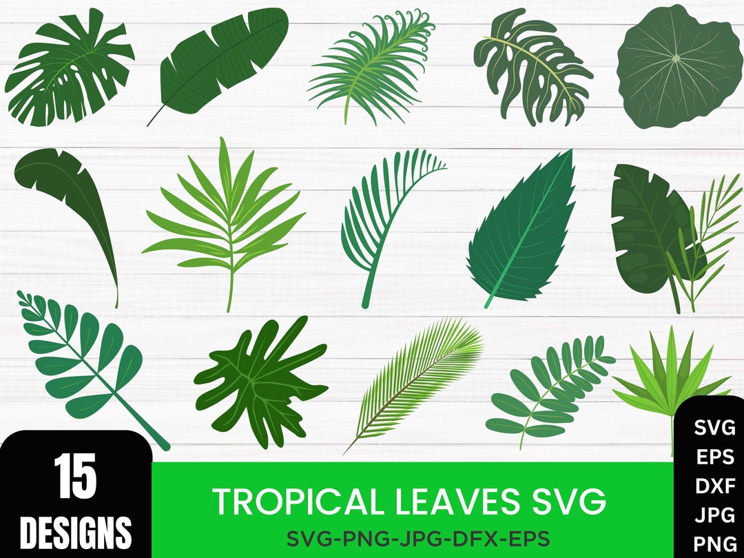 Tropical Leaves Svg Bundle, Monstera Leaf Svg Clipart, Jungle Leaves ...