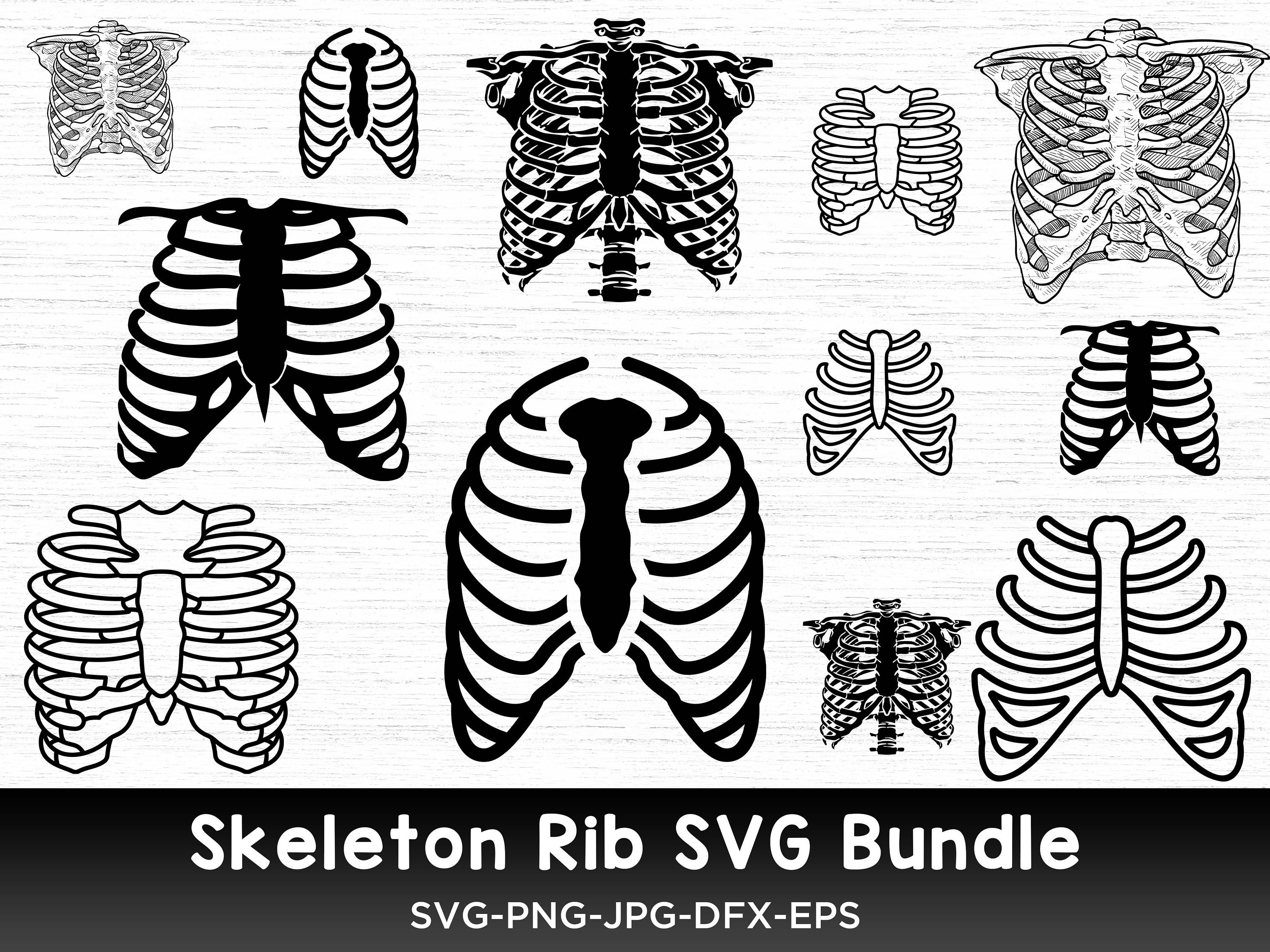 Simple Skeleton Rib Graphic Skeleton Rib Svg Bundle, Skeleton Rib Png, Skeleton Rib Clipart ...