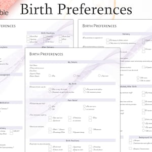 Birth Preferences, Editable Birth Plan Template, Editable Birth Plan, Printable Birth Plan and Checklist, Labor And Delivery Preferences