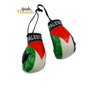 Support Palestine - Mini Palestine Flag Boxing Glove