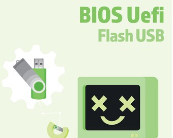 Pre-Flashed BIOS/UEFI USB for Easy Motherboard Updates
