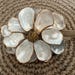 Beautiful Magnolia Flower Decoration Made From Shells, Elegant Coastal ...
