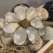 Beautiful Magnolia Flower Decoration Made From Shells, Elegant Coastal ...