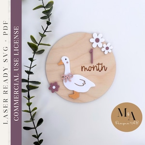 Disques des jalons mensuels Silly Goose Fichier de découpe SVG prêt pour le laser Bonjour tout le monde Cadeau pour bébé Faire-part de nouveau-né Idées de baby shower pour nouvelle maman