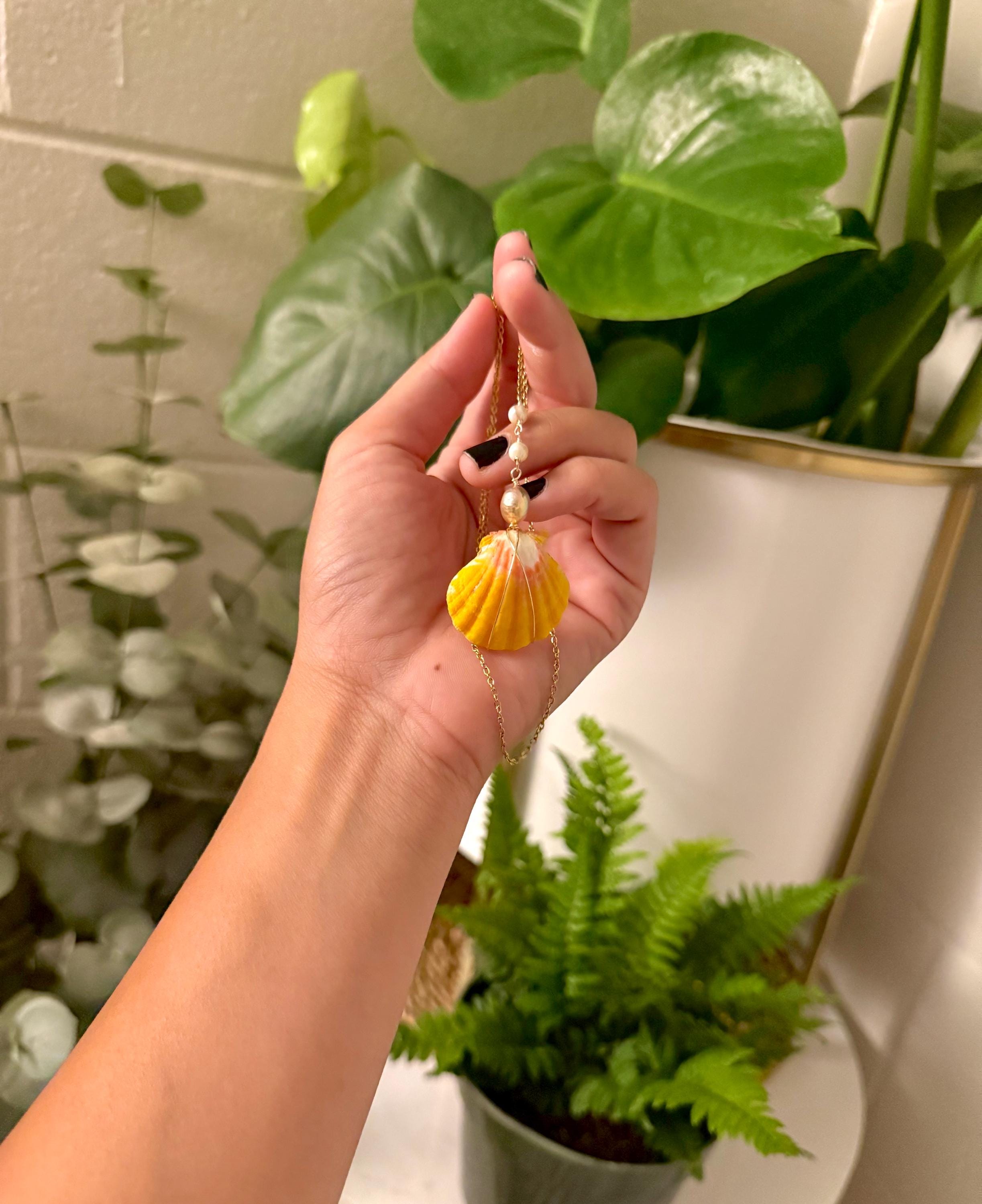 Sunrise shell + pearl gold necklace