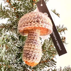May include: A handmade crochet mushroom ornament with a light brown cap and stem, and an orange underside. The ornament hangs from a Christmas tree. A tag with the text "Actinarius traganus" is attached.