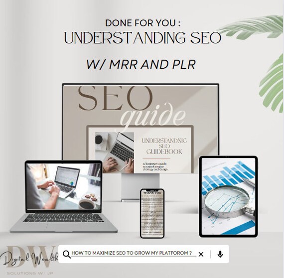 Understanding SEO Guide W/ MRR & PLR