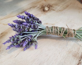 bundle of lavender