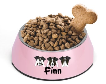 Cartoon Pet Food Bowl With the personalization of your favourite pet