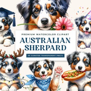 Pacchetto di immagini PNG di cuccioli di pastore australiano, 30 clipart di animali domestici australiani ad acquerello per sublimazione