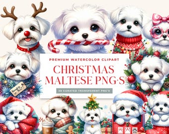 Maltese Christmas PNG Bundle, Watercolor Dog Clipart for Sublimation, Kawaii Holiday Puppy Illustrations