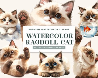 Watercolor Ragdoll Kitten Clipart, Realistic Pet Graphics (Digital Download)