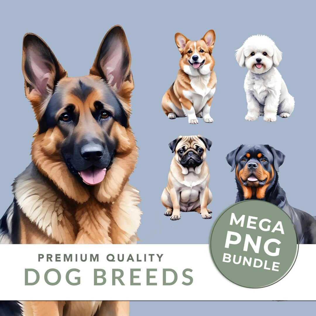 Watercolor Dog Clipart Bundle: 73 PNG Pet Sublimation Designs - Etsy